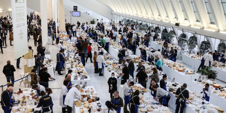 The World Cheese Awards, the Oscars in Cheese